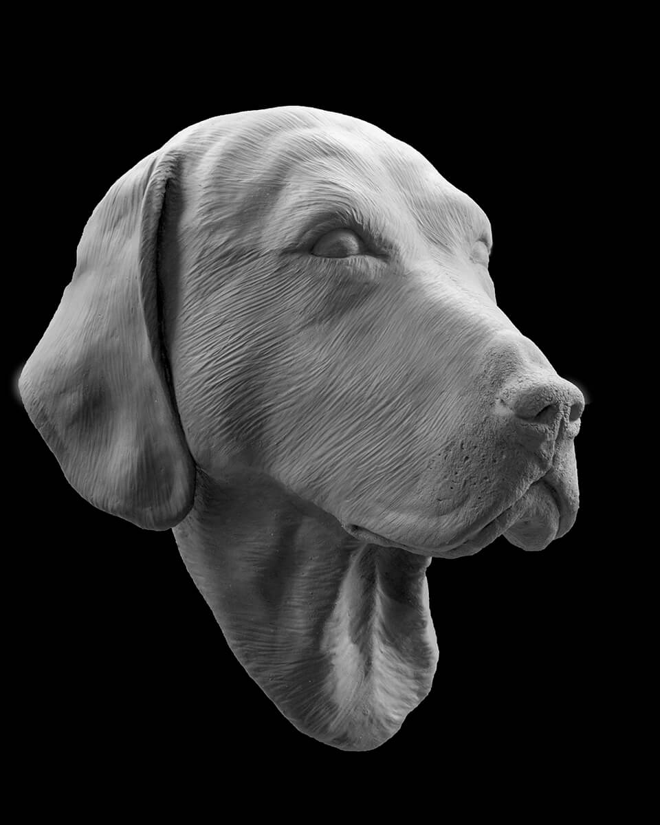 Figurative ceramic sculpture of a dog called Eddy