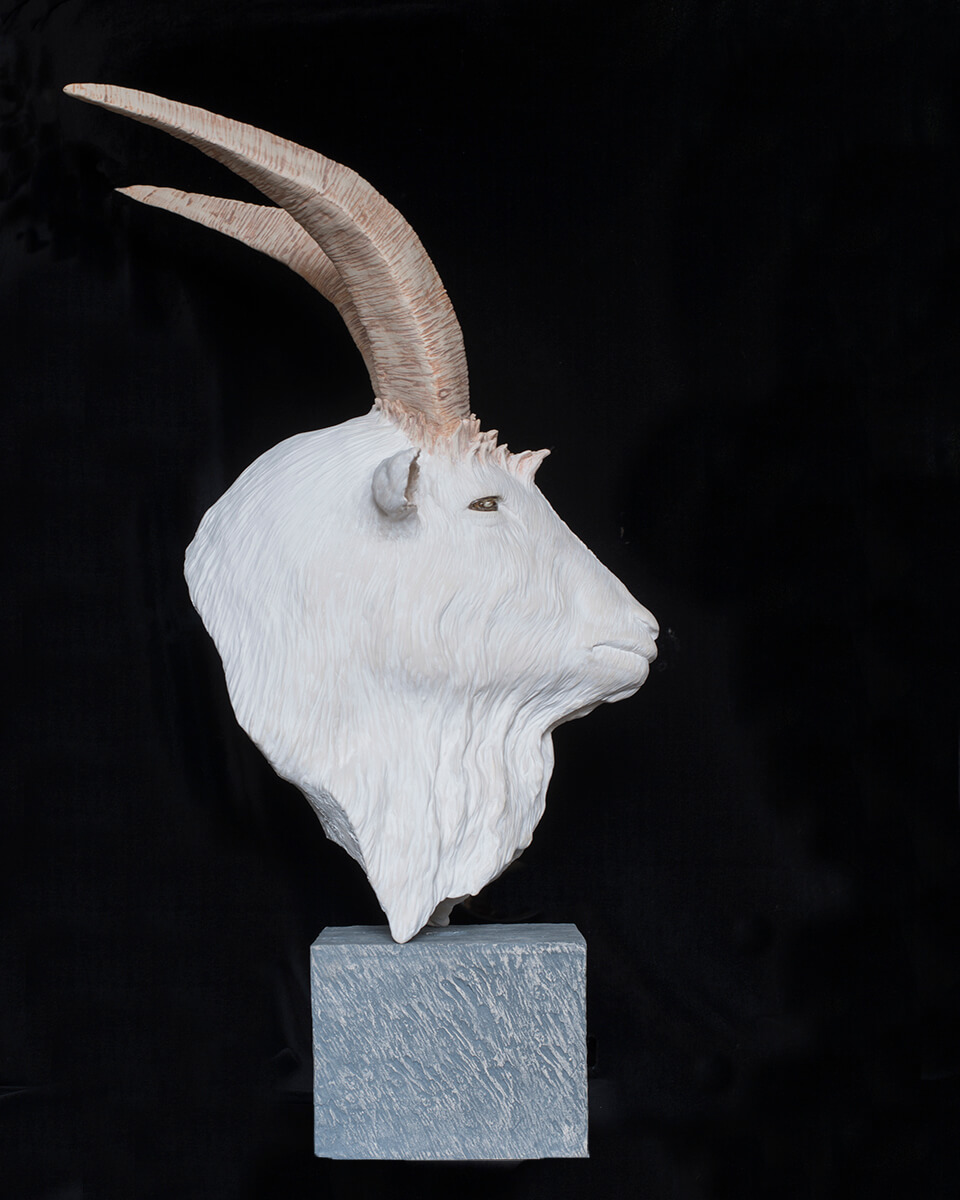 Figurative ceramic sculpture of a Mountain Goat