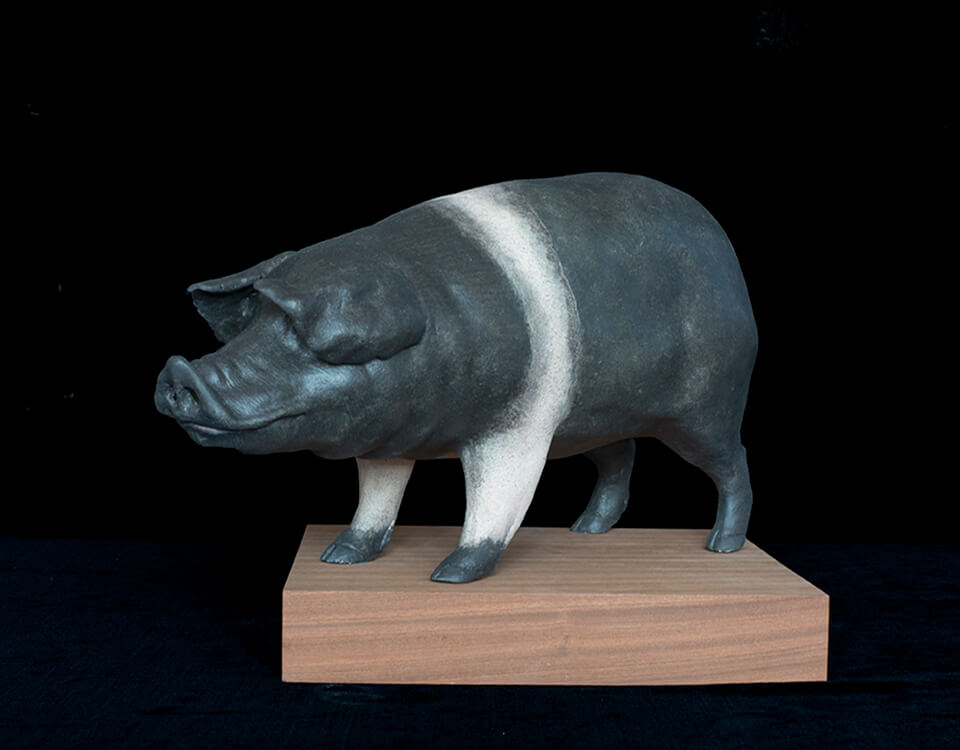 Figurative ceramic sculpture of Saddle Back Pig