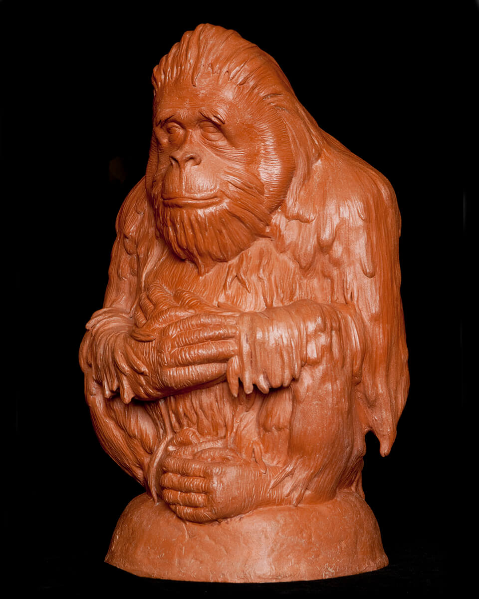 Figurative ceramic sculpture of an Orangutan
